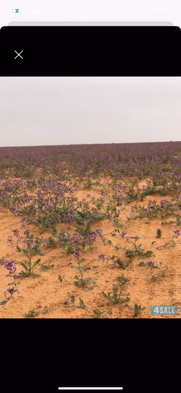 ارض للايجار في ميناء عبدالله