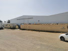 صورة 3