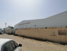 صورة 4