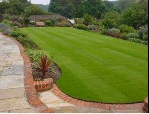 تنسيق الحدائق