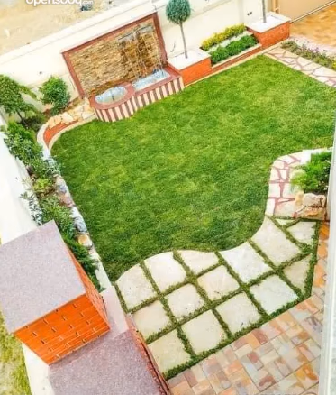 صورة 2