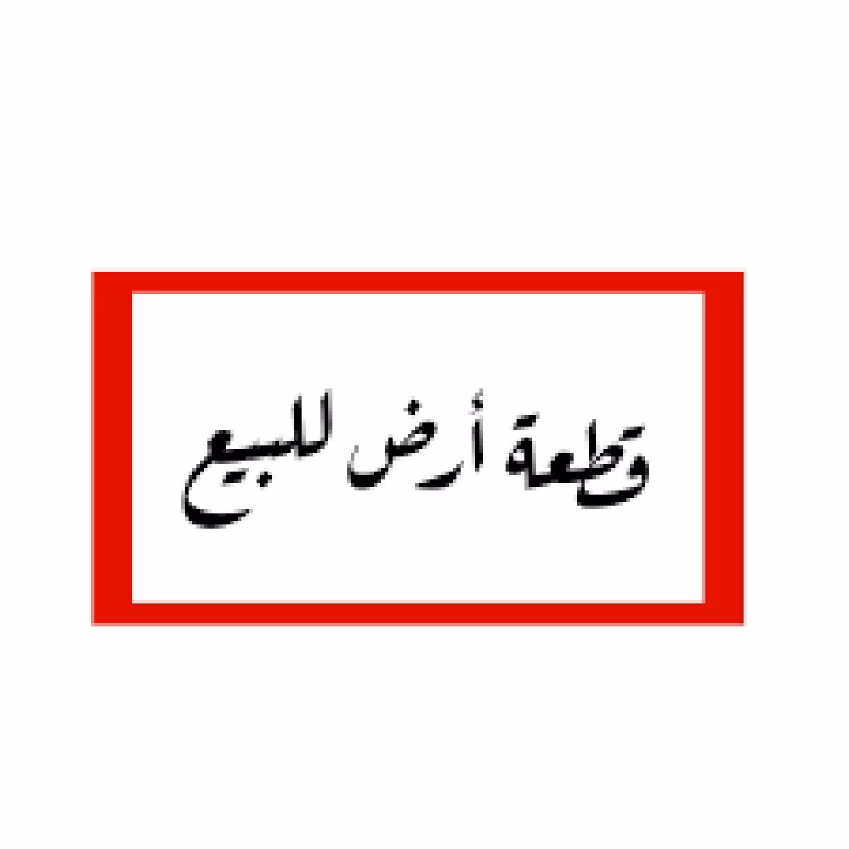 صورة 2