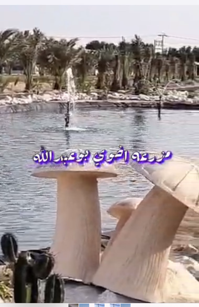 مزرعة للبيع في العبدلي