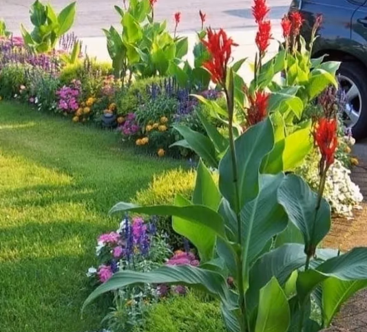 صورة 3