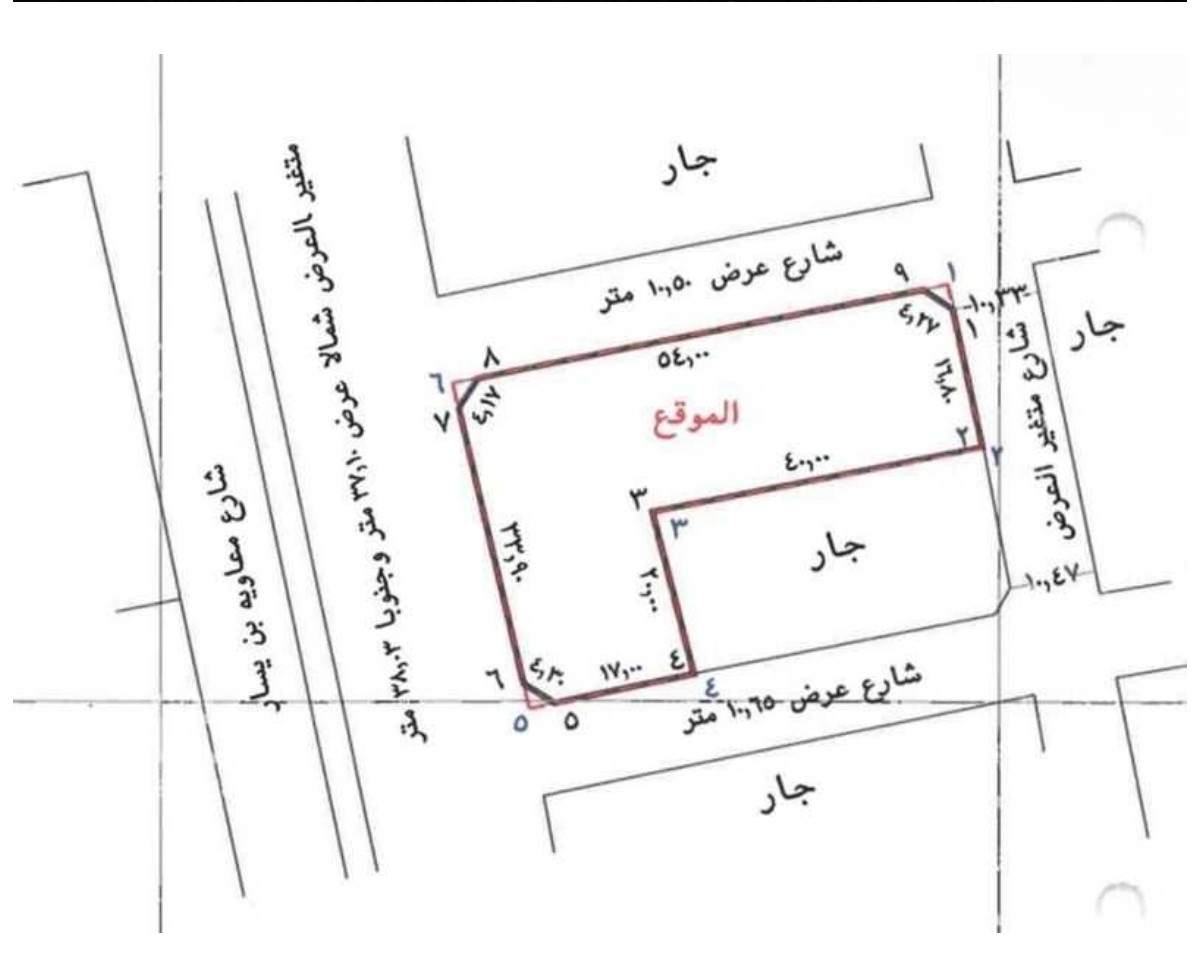 صورة 2