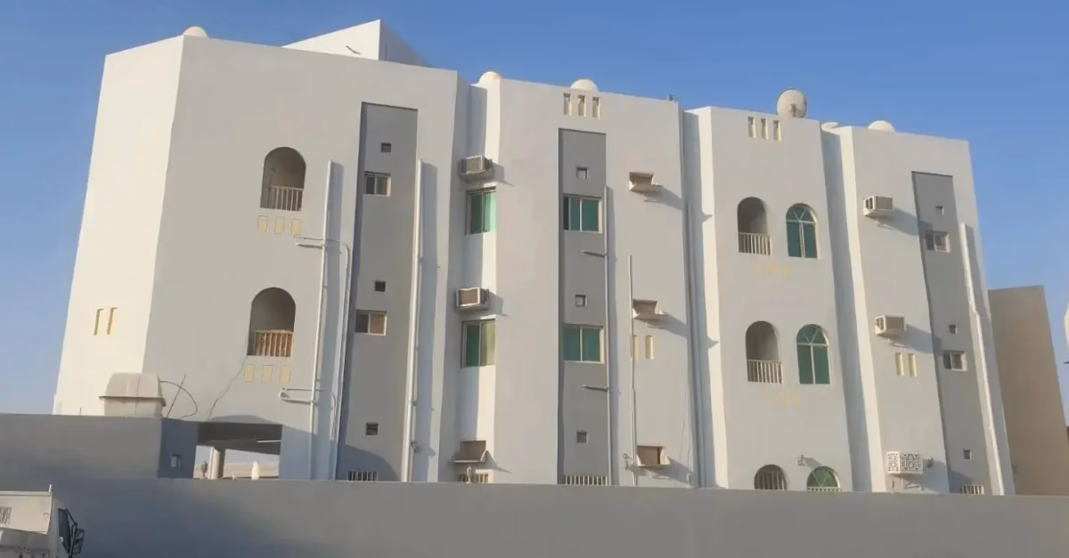 صورة 3