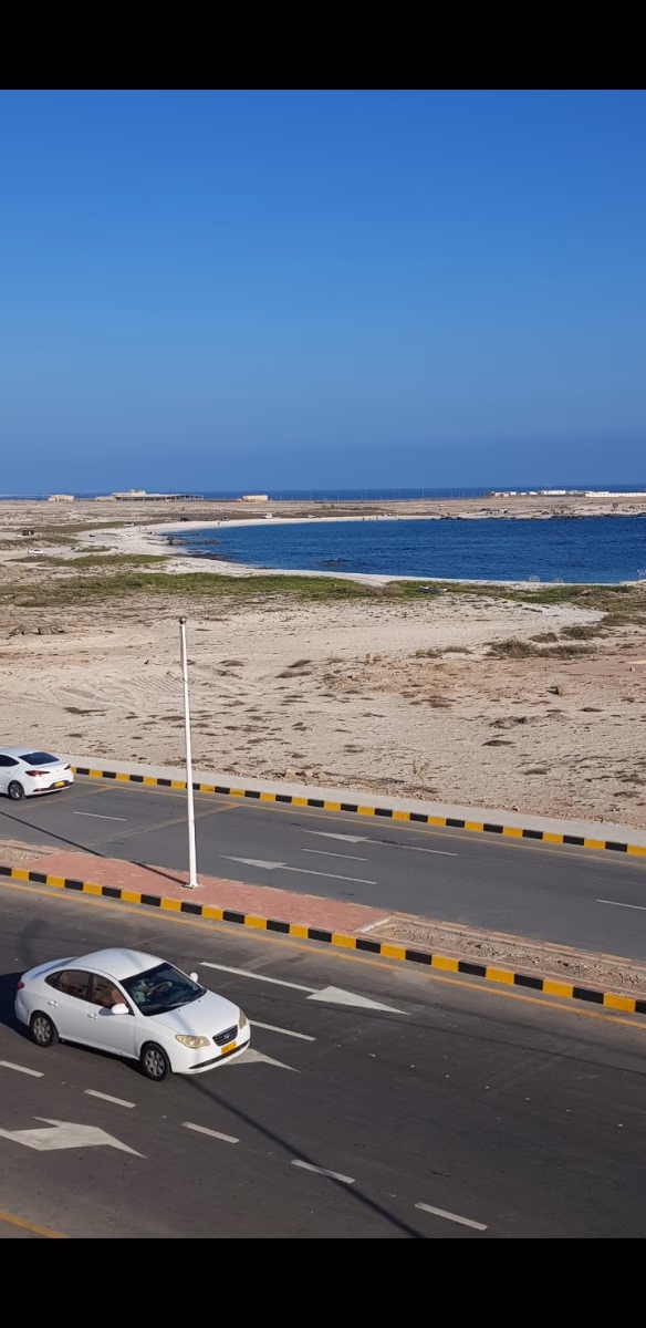 صورة 2