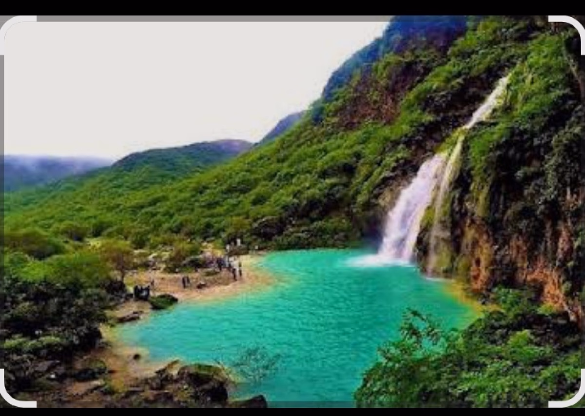 صورة 3