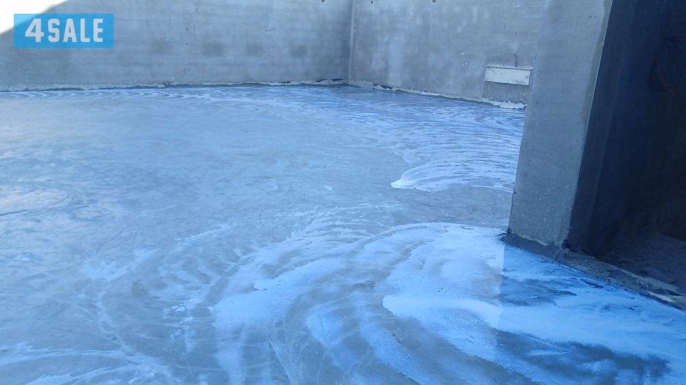 صورة 4