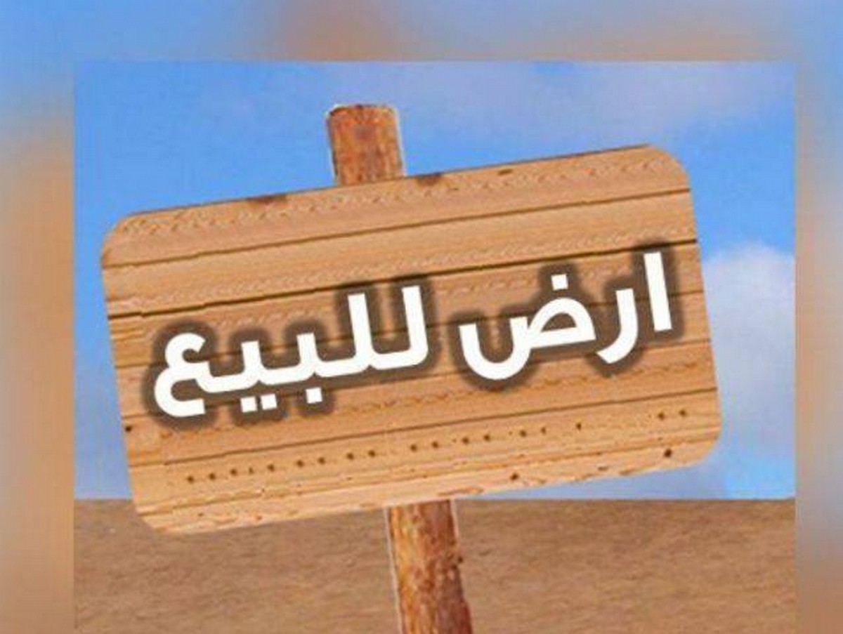 ارض ٩٠٠ للبيع في العارض