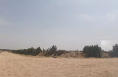 صورة 2