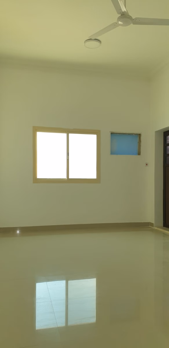 صورة 3