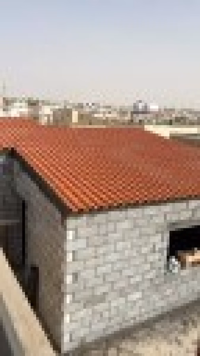 صورة 3