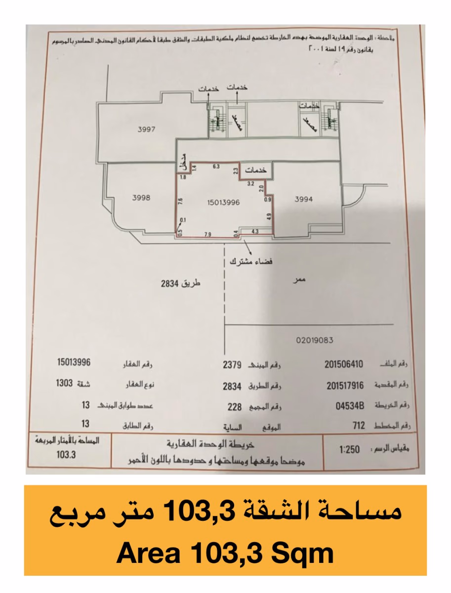 صورة 3