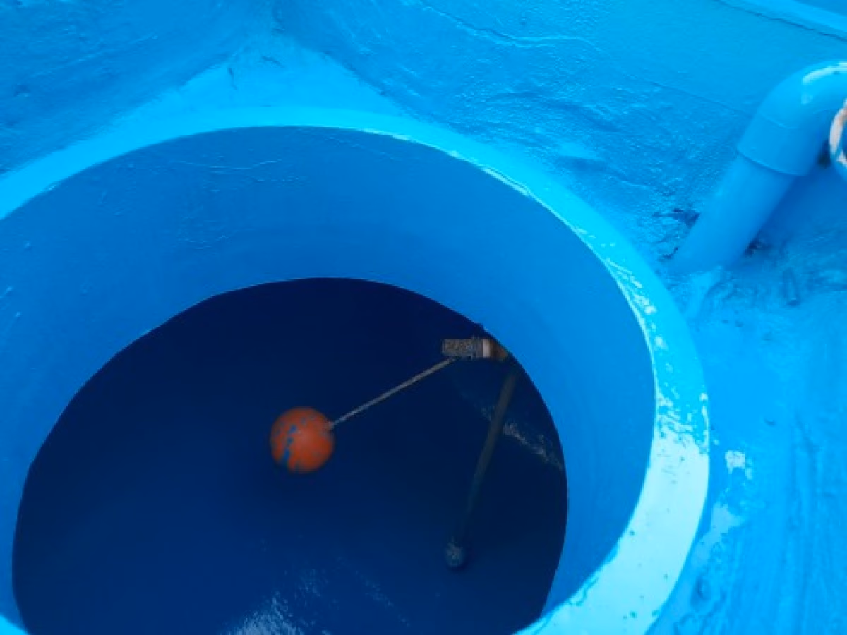 صورة 3